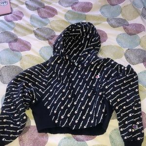 Champion cropped hoodie